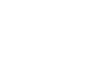 Domowik